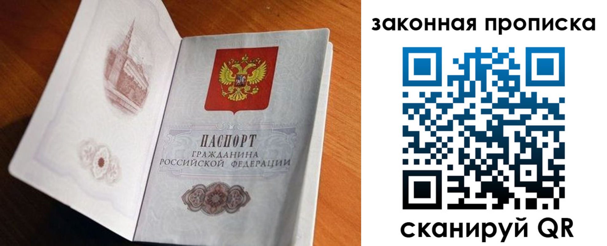 прописка регистрация в Ельне