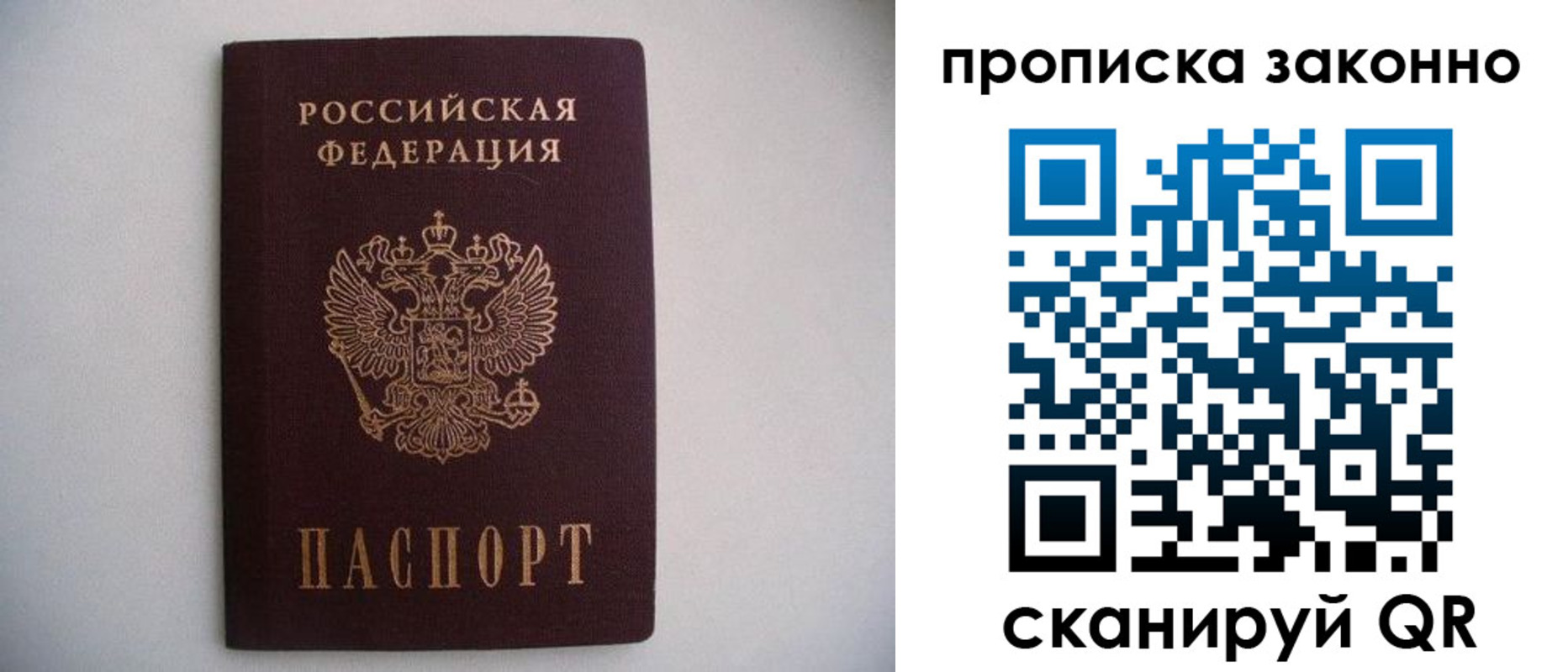 прописка паспорт в Ельне